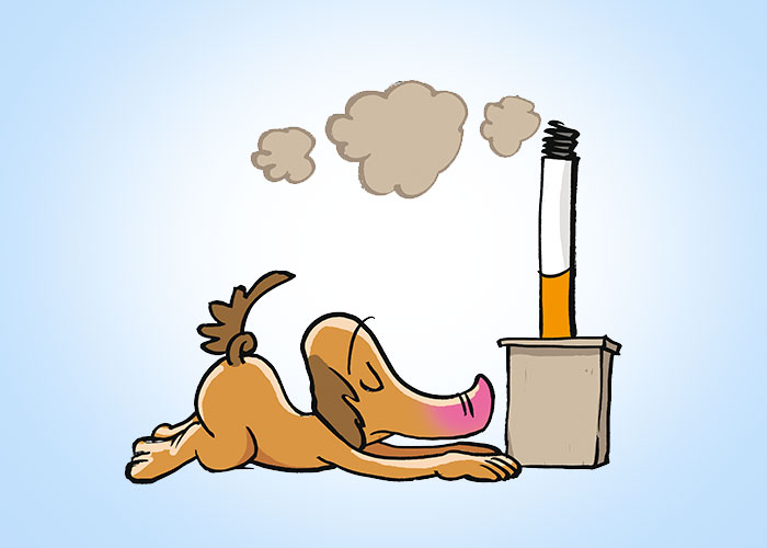 nichtraucher-in-5-Stunden-guenter-01