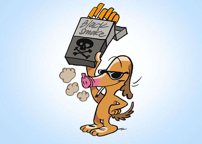 nichtraucher-in-5-Stunden-guenter-04