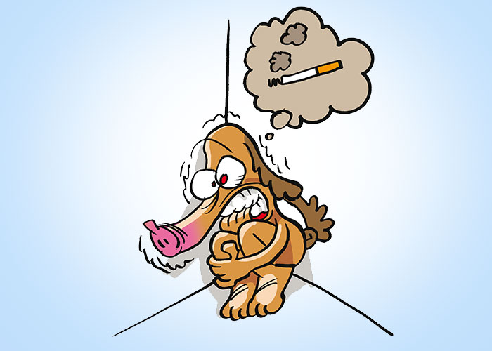 nichtraucher-in-5-Stunden-guenter-05