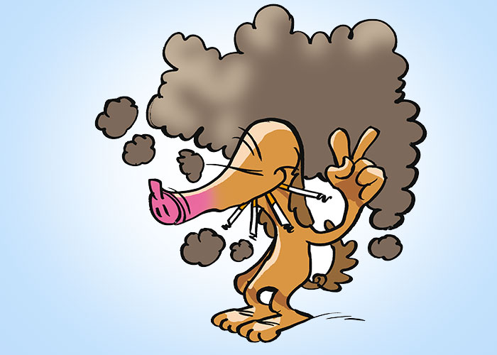 nichtraucher-in-5-Stunden-guenter-07