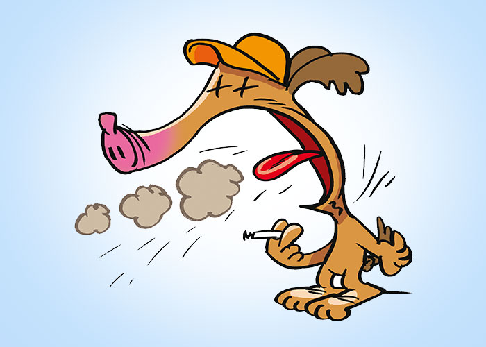 nichtraucher-in-5-Stunden-guenter-08