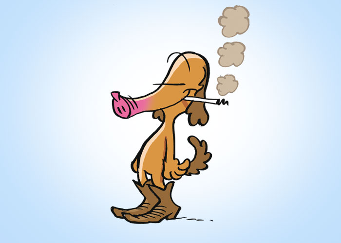 nichtraucher-in-5-Stunden-guenter-12