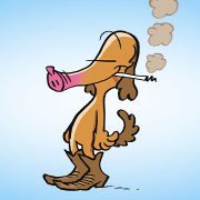 nichtraucher-in-5-Stunden-praevention-13