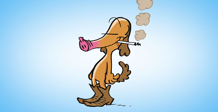 nichtraucher-in-5-Stunden-praevention-13