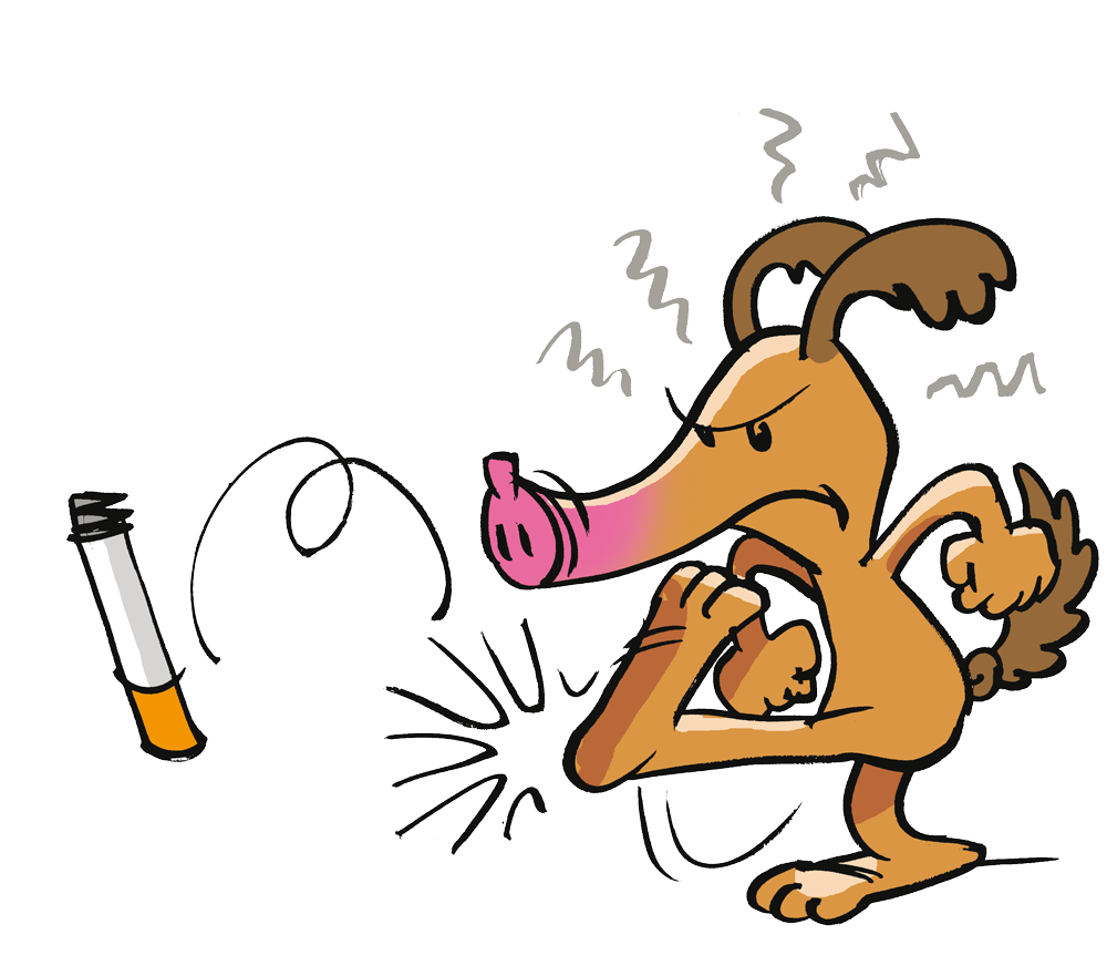 nichtraucher-in-5-Stunden-rv-guenter-aufhoeren